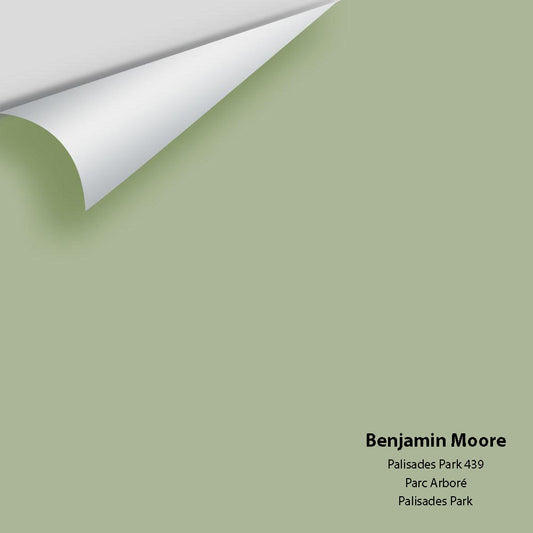 Benjamin Moore - Palisades Park 439 Colour Sample