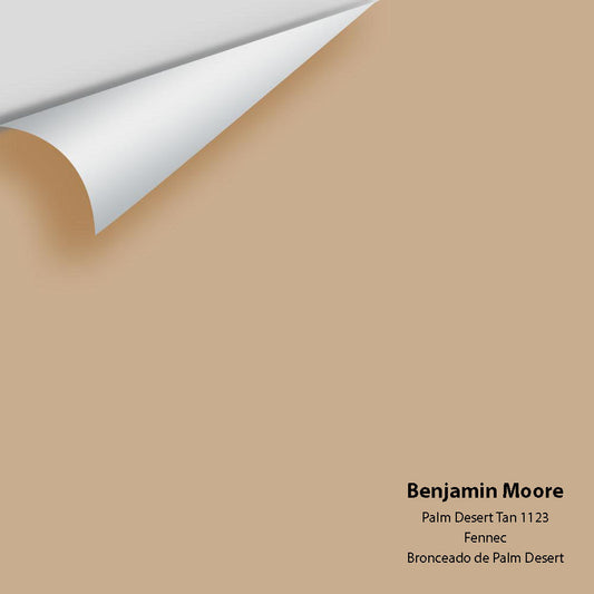 Big Paint Chip - Palm Desert Tan 1123