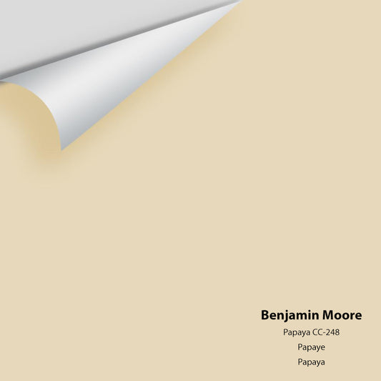 Benjamin Moore - Papaya 957 / CC-248 Colour Sample