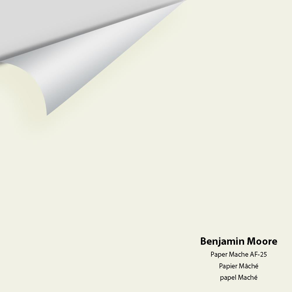Big Paint Chip - Paper Mache AF-25
