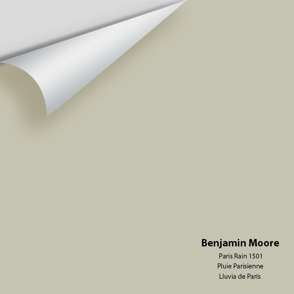 Benjamin Moore - Paris Rain 1501 Colour Sample