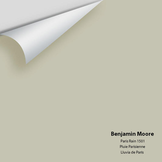 Benjamin Moore - Paris Rain 1501 Colour Sample