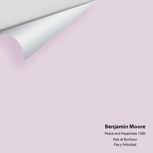 Big Paint Chip - Peace and Happiness 1380