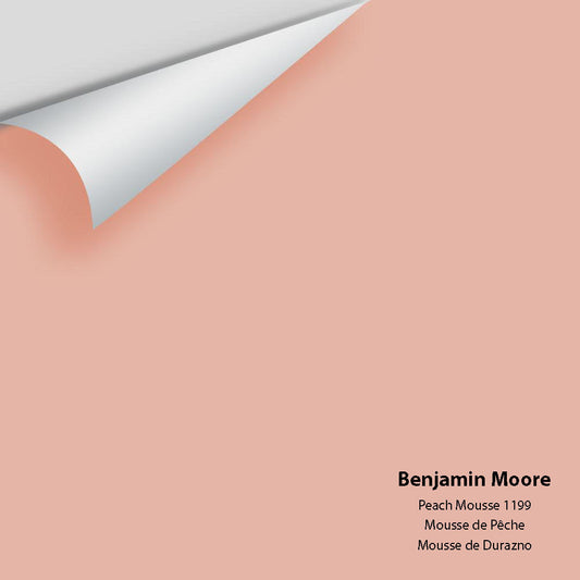 Big Paint Chip - Peach Mousse 1199