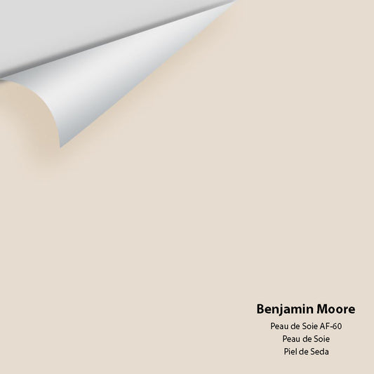 Benjamin Moore - Peau de Soie AF-60 Colour Sample