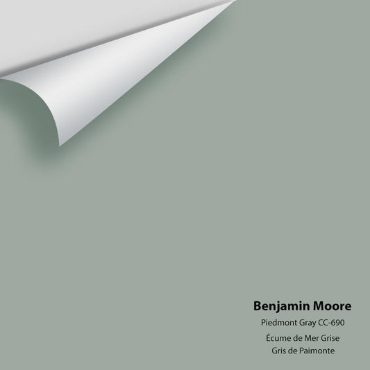 Big Paint Chip - Piedmont Gray CC-690