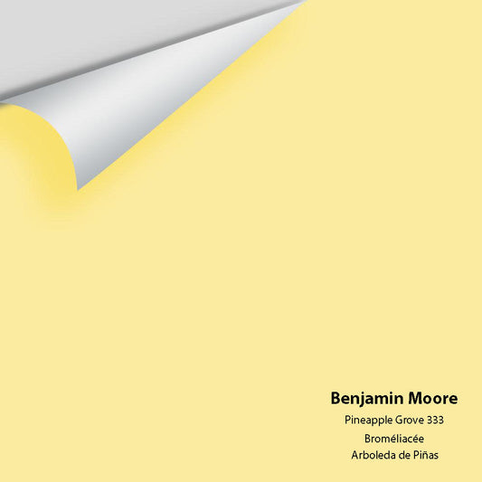 Big Paint Chip - Pineapple Grove 333