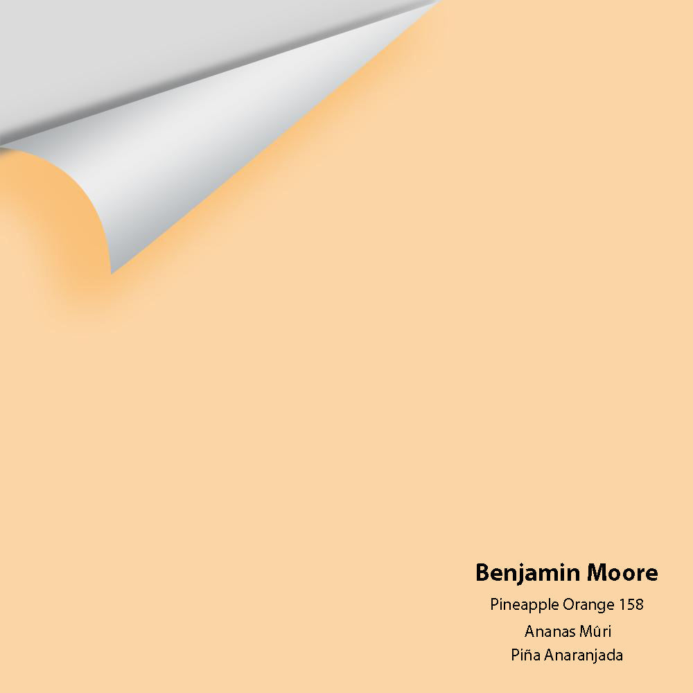 Benjamin Moore - Pineapple Orange 158 Colour Sample