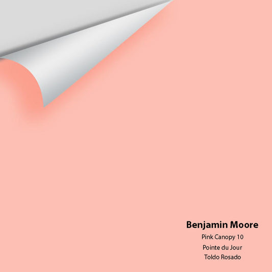 Big Paint Chip - Pink Canopy 10
