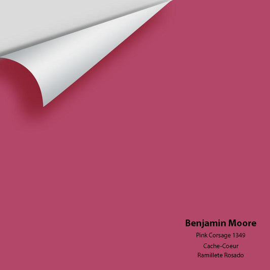 Big Paint Chip - Pink Corsage 1349
