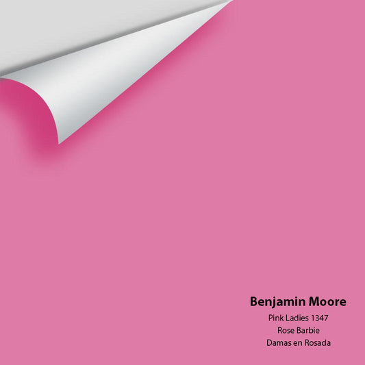 Big Paint Chip - Pink Ladies 1347