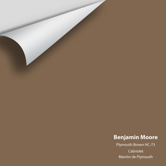 Big Paint Chip - Plymouth Brown HC-73 Colour Sample