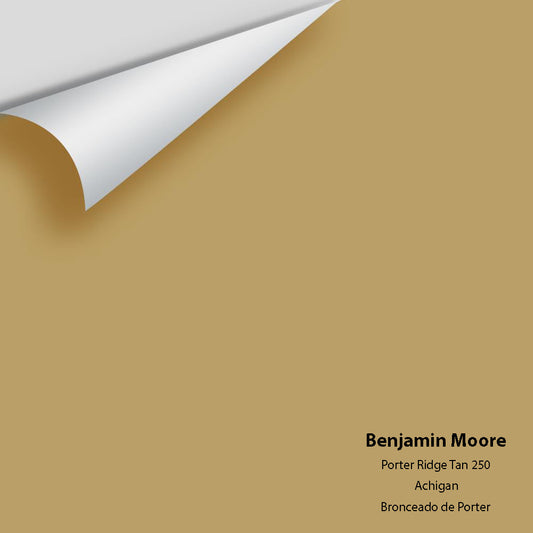 Big Paint Chip - Porter Ridge Tan 250