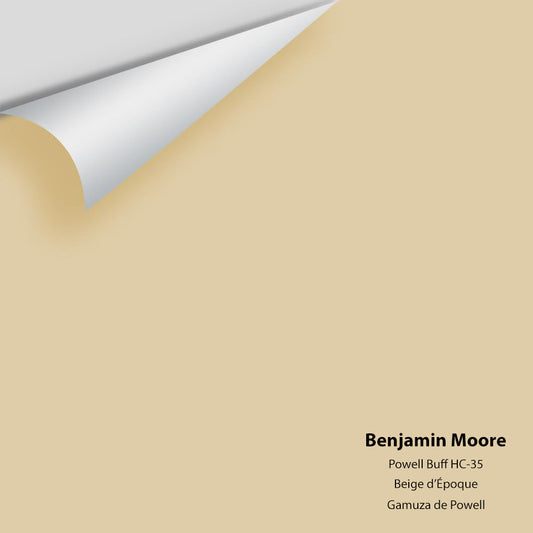 Big Paint Chip - Powell Buff HC-35