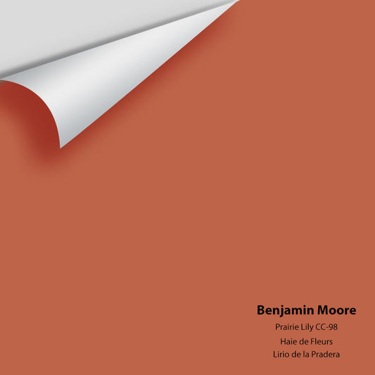 Benjamin Moore - Prairie Lily CC-98 Colour Sample