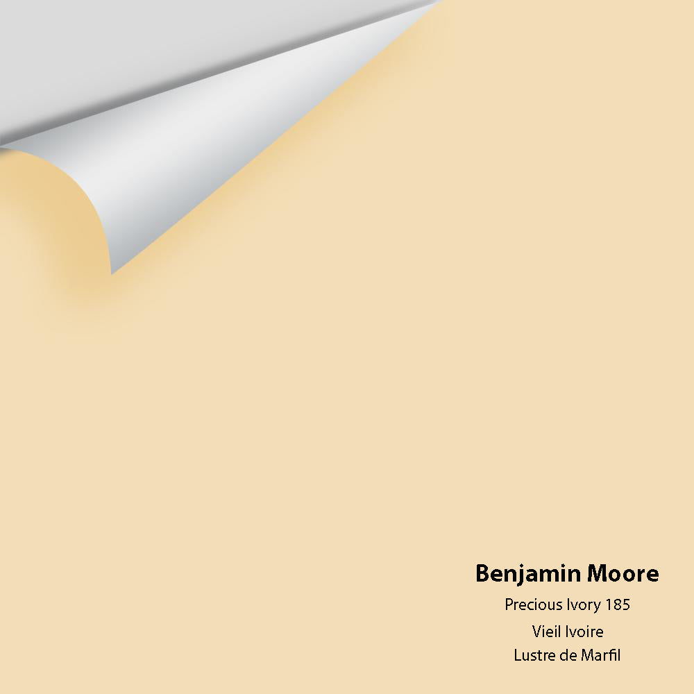 Benjamin Moore - Precious Ivory 185 Colour Sample