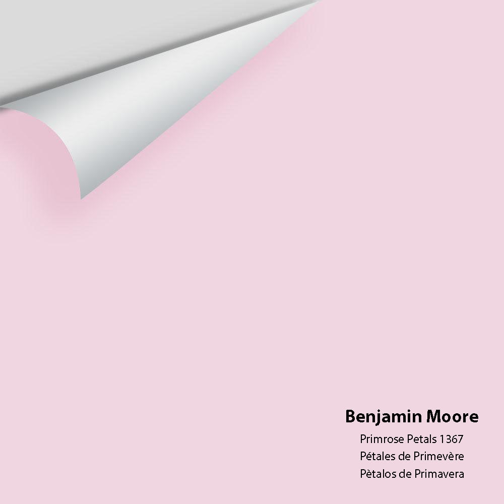 Big Paint Chip - Primrose Petals 1367