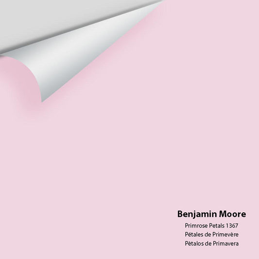 Big Paint Chip - Primrose Petals 1367