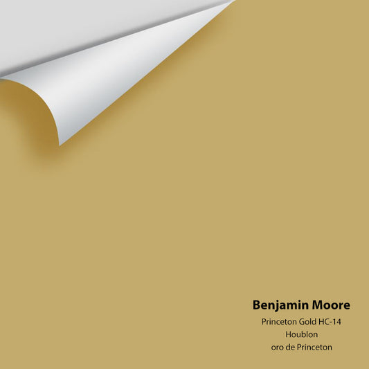 Big Paint Chip - Princeton Gold HC-14