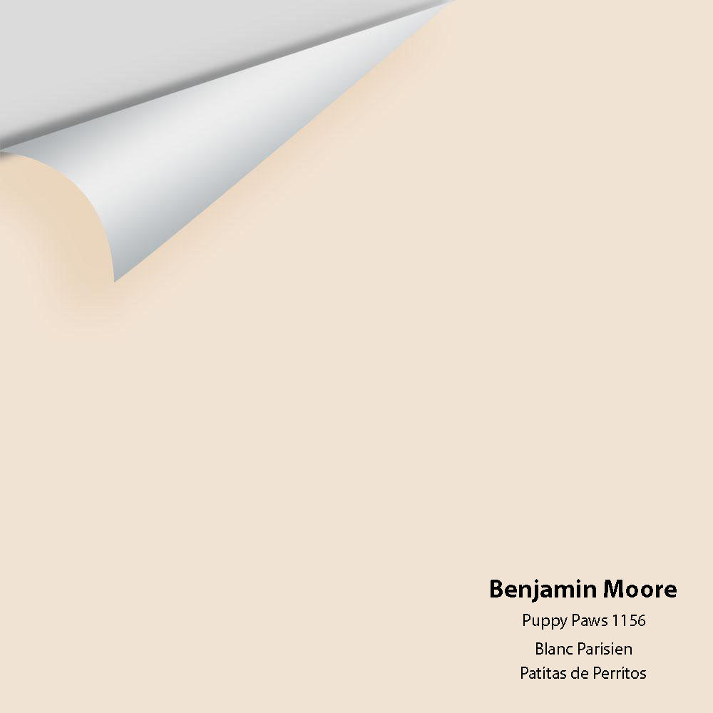 Benjamin Moore - Puppy Paws 1156 Colour Sample