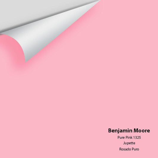 Big Paint Chip - Pure Pink 1325