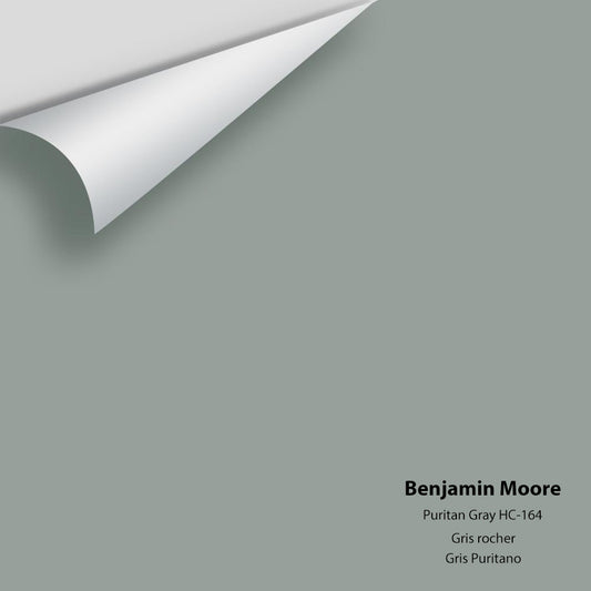 Big Paint Chip - Puritan Gray HC-164 Colour Sample