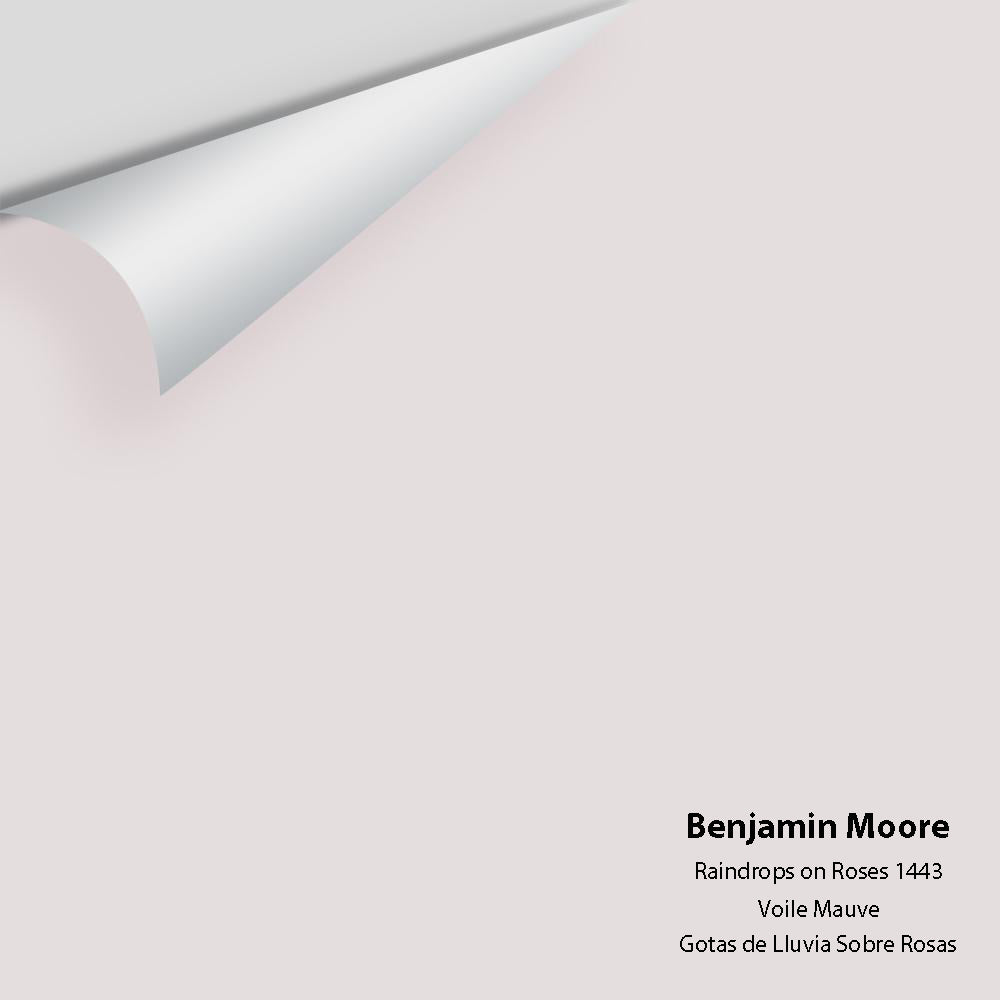 Benjamin Moore - Raindrops on Roses 1443 Colour Sample