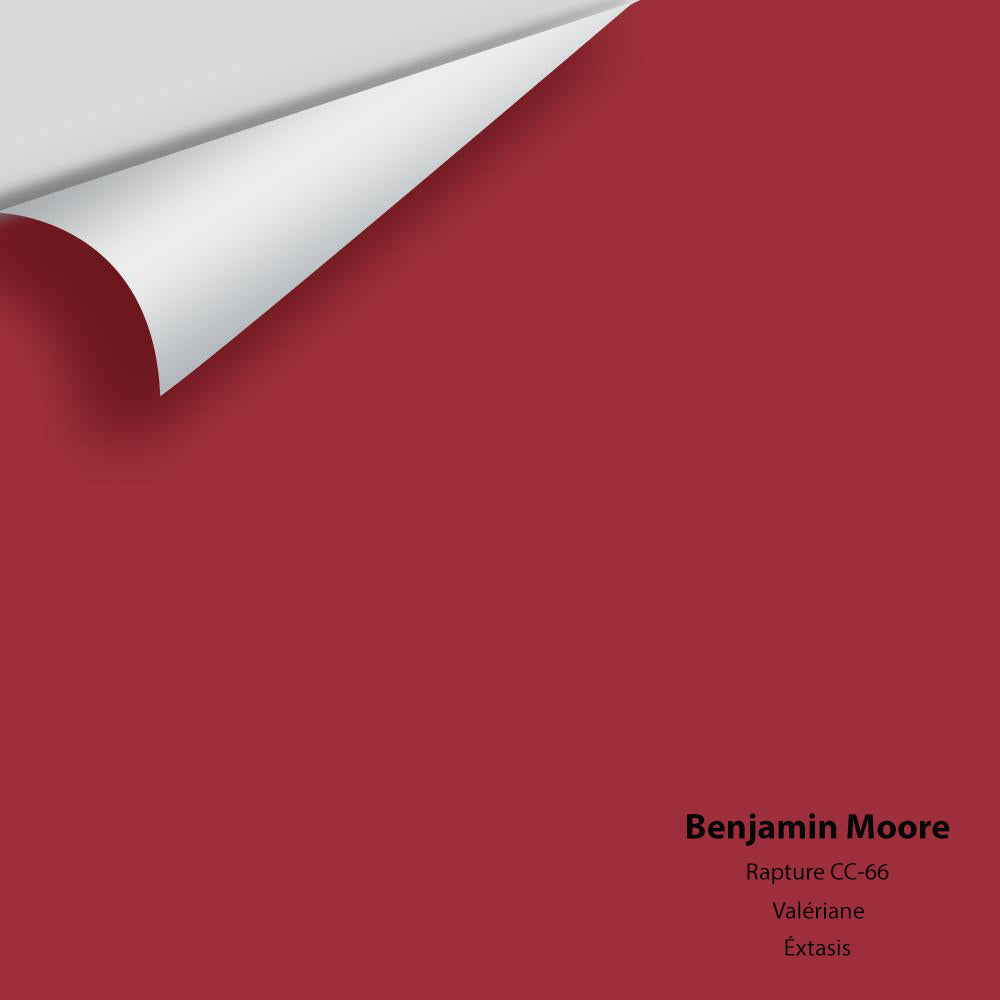 Benjamin Moore - Rapture CC-66 Colour Sample