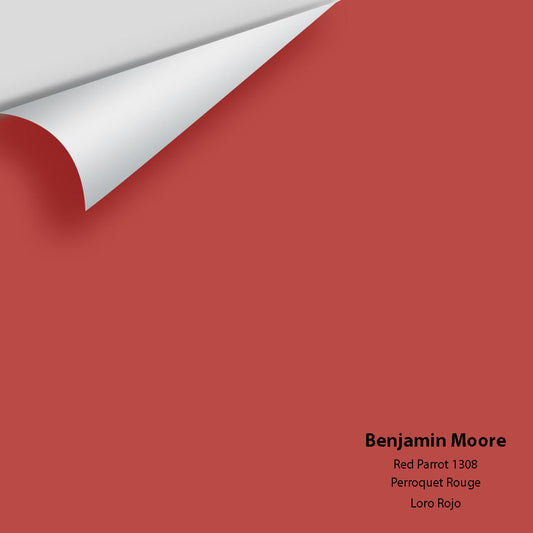Big Paint Chip - Red Parrot 1308