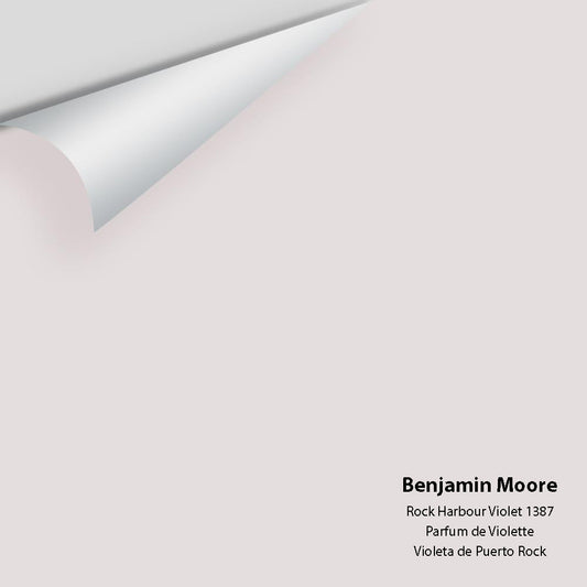 Benjamin Moore - Rock Harbour Violet 1387 Colour Sample