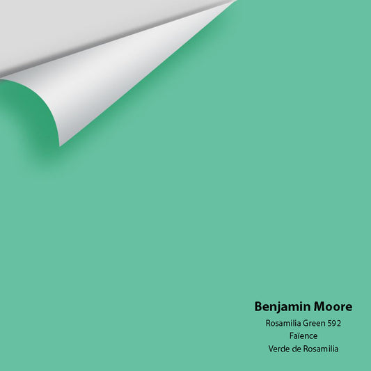 Big Paint Chip - Rosamilia Green 592