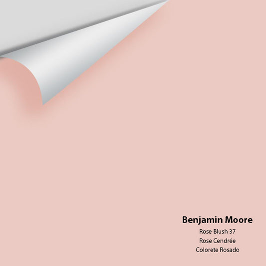 Big Paint Chip - Rose Blush 37
