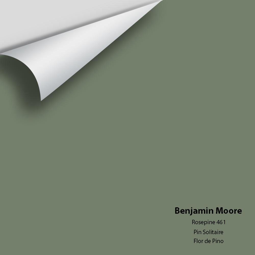 Benjamin Moore - Rosepine 461 Colour Sample