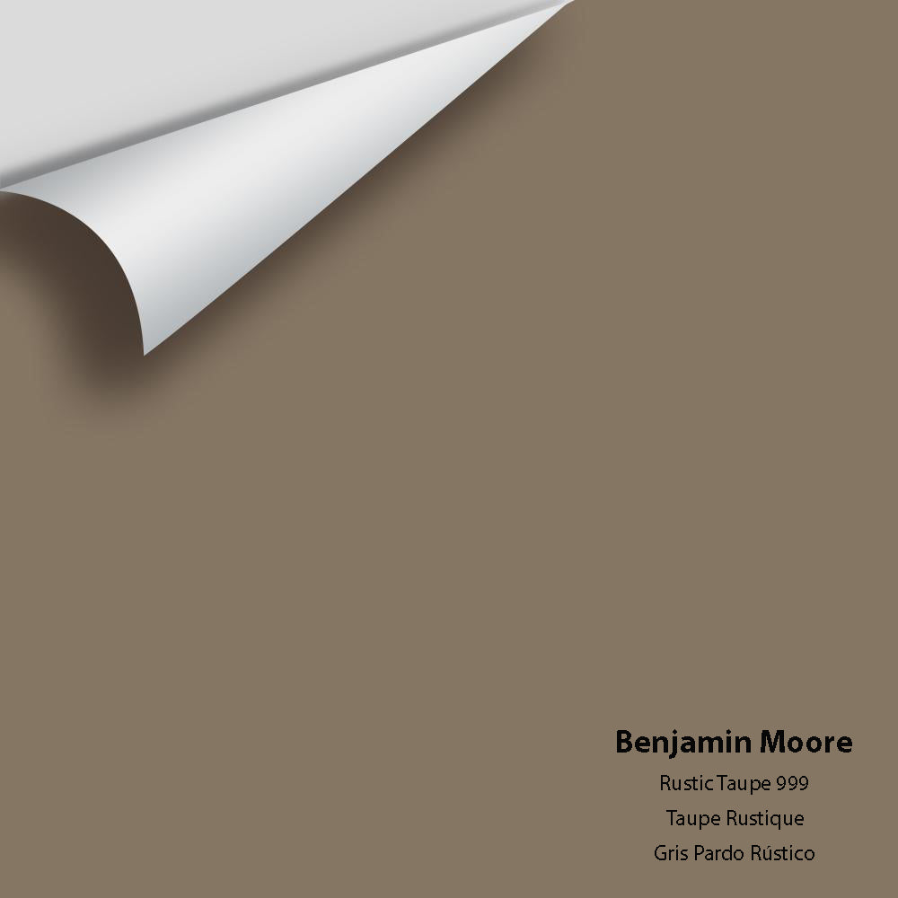 Big Paint Chip - Rustic Taupe 999