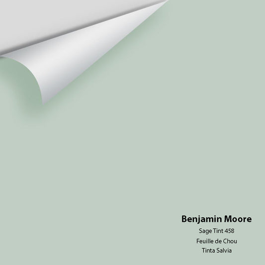 Big Paint Chip - Sage Tint 458