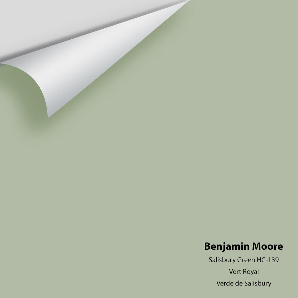 Big Paint Chip - Salisbury Green HC-139