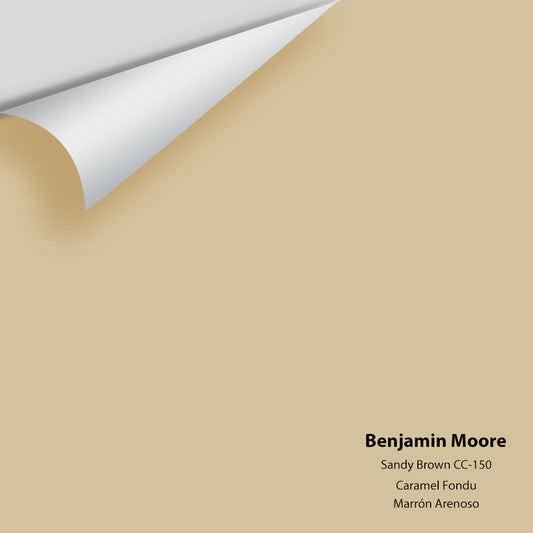 Benjamin Moore - Sandy Brown 1046 / CC-150 Colour Sample