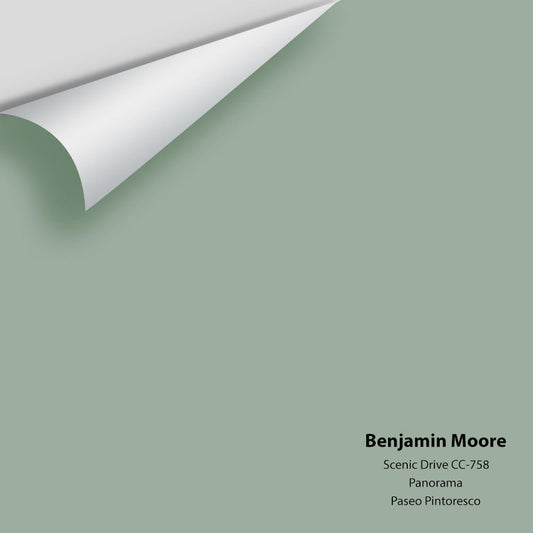 Big Paint Chip - Scenic Drive 697 / CC-758