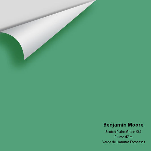 Big Paint Chip - Scotch Plains Green 587