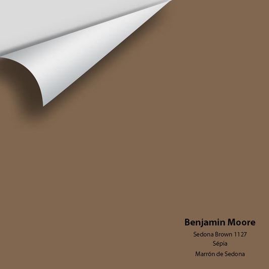 Big Paint Chip - Sedona Brown 1127
