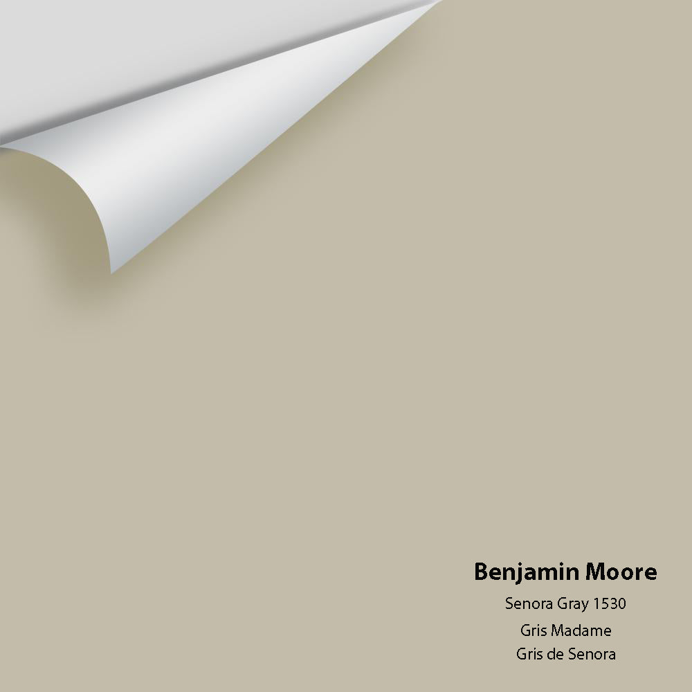 Big Paint Chip - Senora Gray 1530