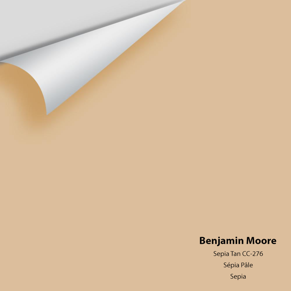 Big Paint Chip - Sepia Tan 1116 / CC-276