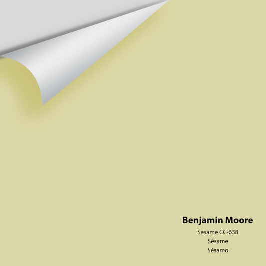 Big Paint Chip - Sesame 381 / CC-638