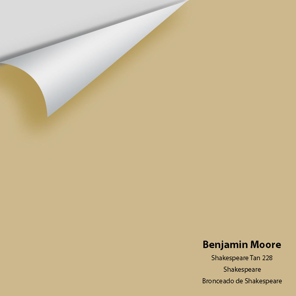 Big Paint Chip - Shakespeare Tan 228