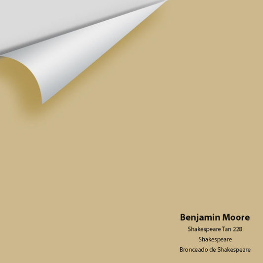 Big Paint Chip - Shakespeare Tan 228
