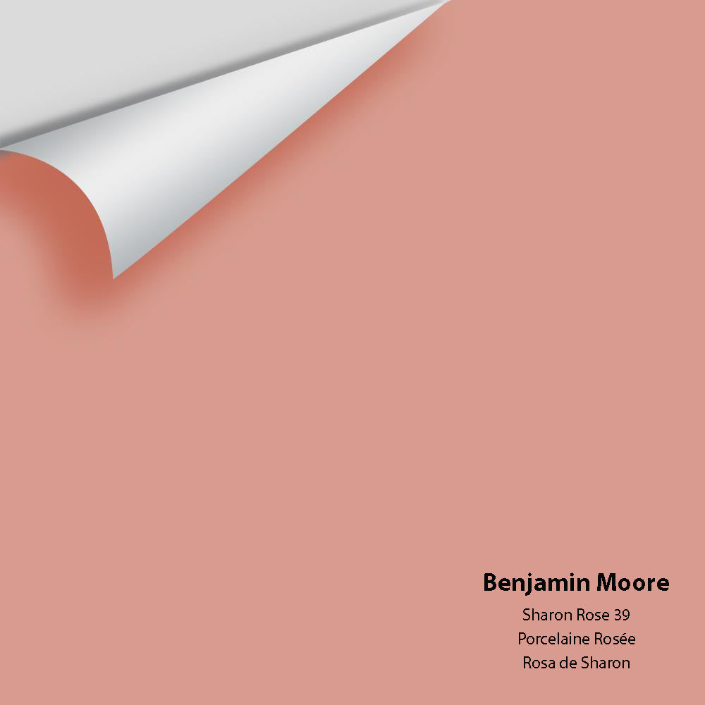 Big Paint Chip - Sharon Rose 39