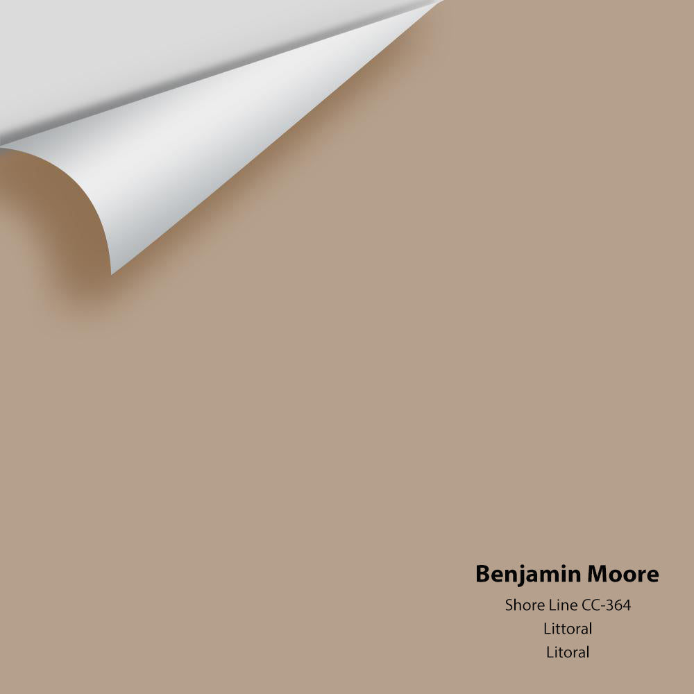 Benjamin Moore - Shore Line CC-364 Colour Sample