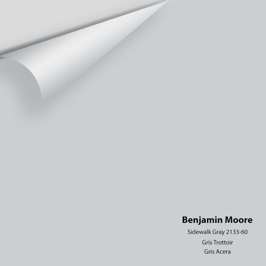 Benjamin Moore - Sidewalk Gray 2133-60 Colour Sample