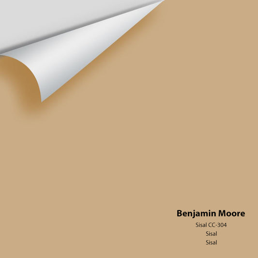 Big Paint Chip - Sisal CC-304