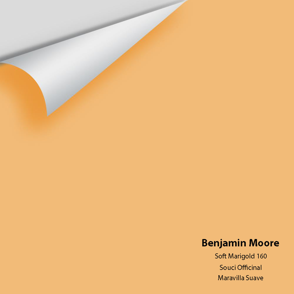 Big Paint Chip - Soft Marigold 160